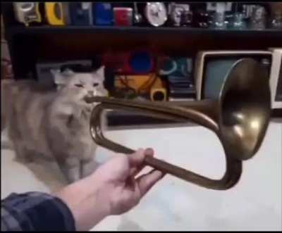 toot