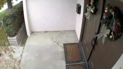 gardener uses leaf blower to fight off two dogs