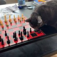 Touch tha pawn.