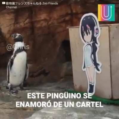 Kkkkkk