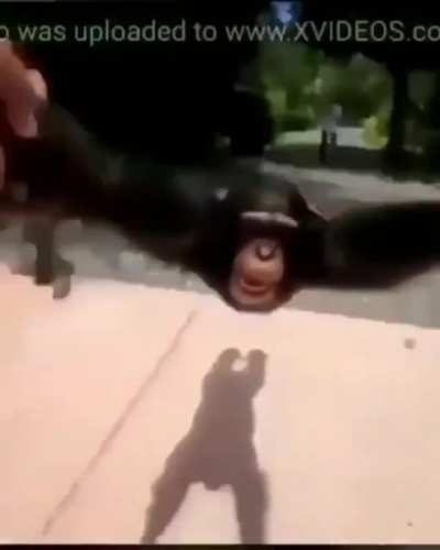 HD 😳😳😳