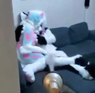 No horny