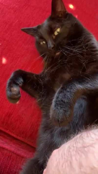 “I didn’t say you could stop!”
