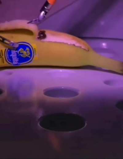 They did surgery on banana(literally)