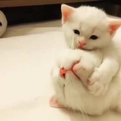 Wakeup my sweet mom