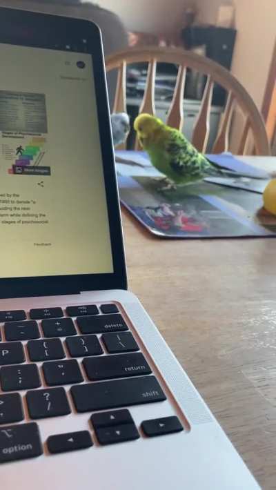 Her feather scared her