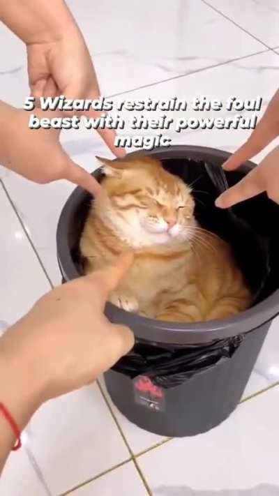 Foul wunkus