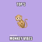 Top 5 Monkey Vibes. (Money Spread)