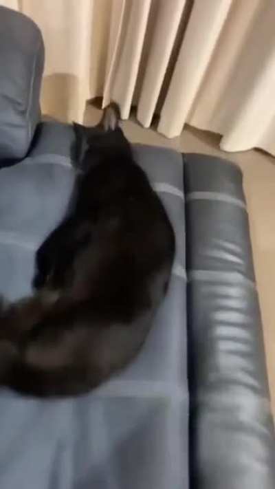 Just wait for his little activation noise