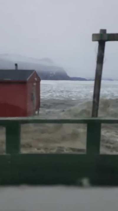 Soothing Arctic Scenery