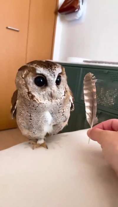 Maybe maybe maybe