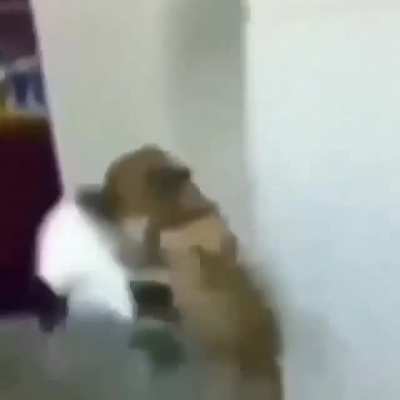 teytey
