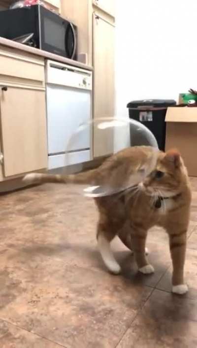 Bruh