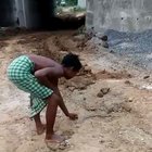 To catch a snek!