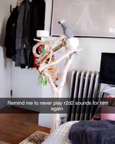 Hidden talent