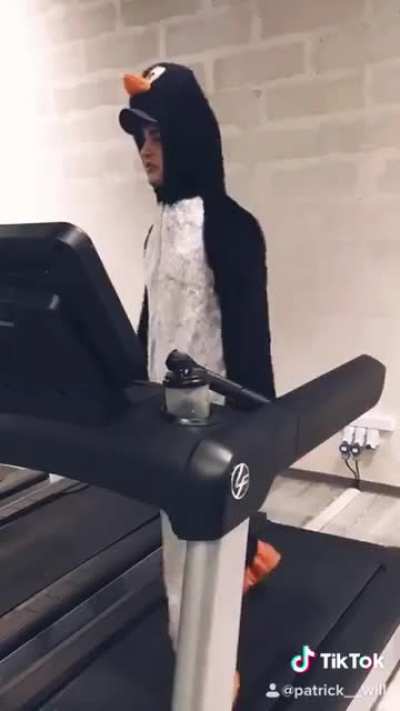 Do penguins workout? 😂