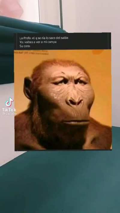 Monke🦍