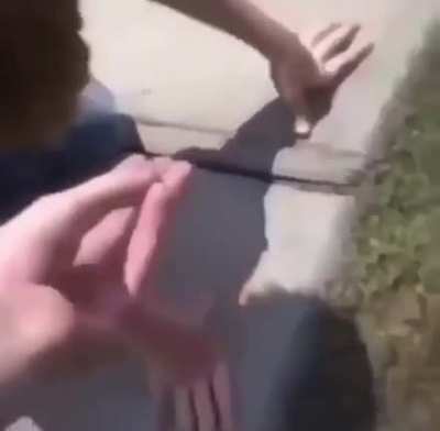gay rock