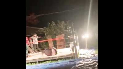 WrestlingVidFeed2