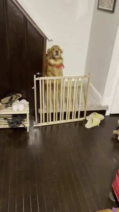 She got stuck behind the gate that she already walked by.