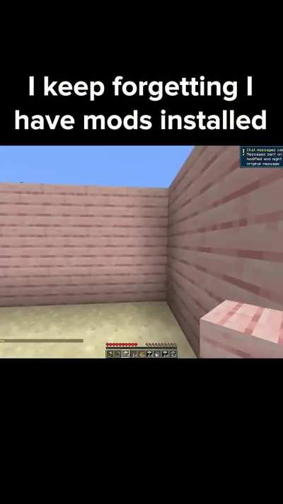 Minecraft mods hit different 