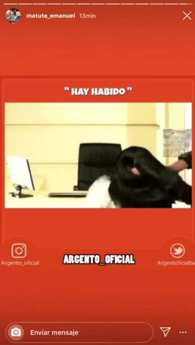 Se vienen las clases de cultura de capusotto
