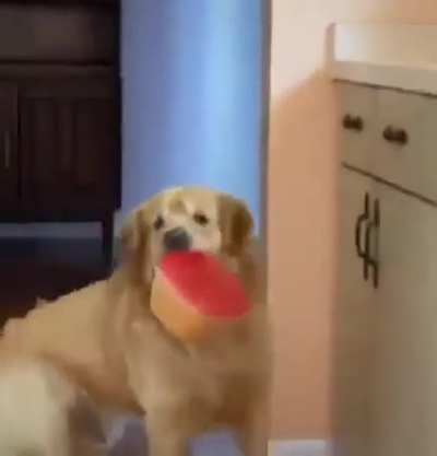 me irl