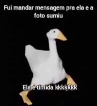 F guys