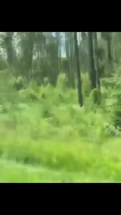 From Russia with love
