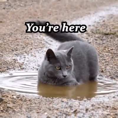 Those puddles can be pretty deep..