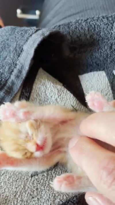 Sandpaper mlems