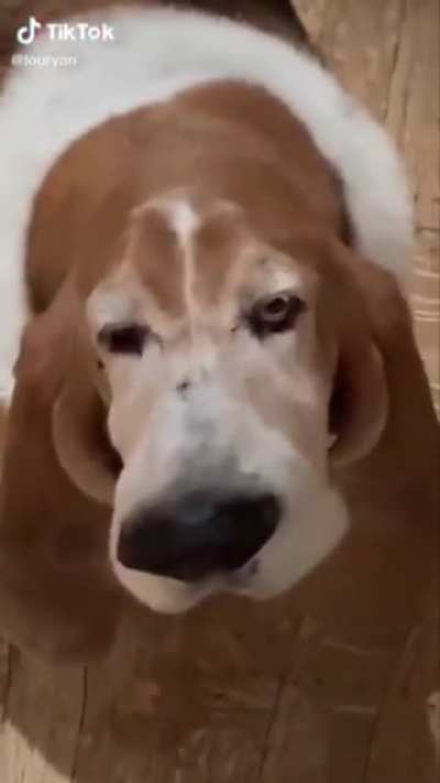 Winston has something important to say