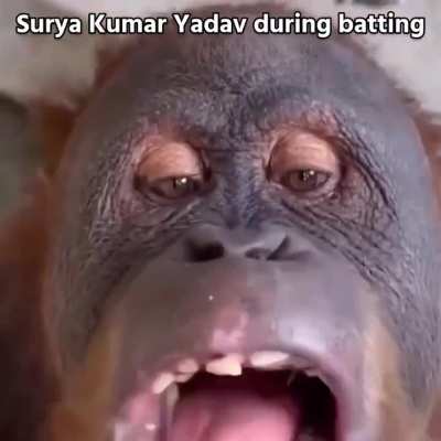 Surya Kumar Yadav chewing gum during batting.