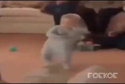 Video random pal viejas (primer y último post creo)