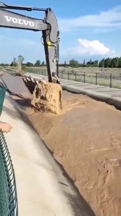 Shovel operator saves cow in one move