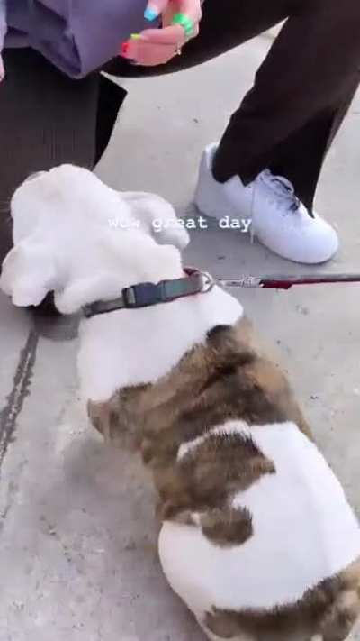 Great day