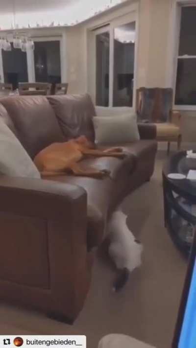 Touch tha foot