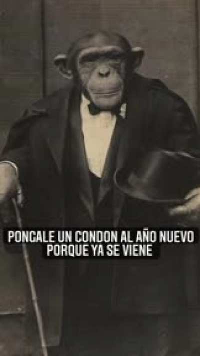 Un año mas