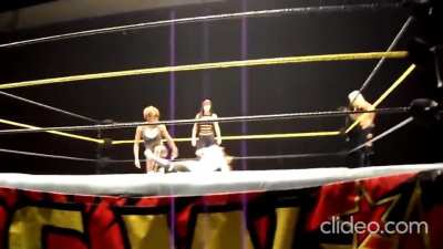 AJ Lee getting spanked throught her career