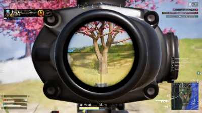 When The Enemy Doesn't Kill You, But Your Teammate Does (PUBG PC) Steam