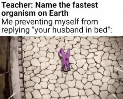shat myself trying not to say this