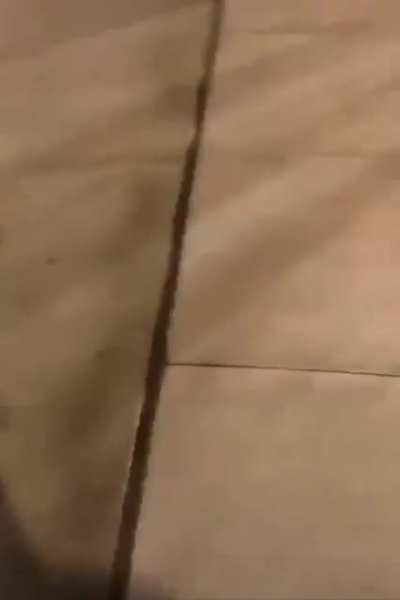 Old guy fires shotgun outside of police headquarters in Salem, Oregon where people were writing messages in colorful chalk