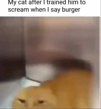 AGGRESSIVE