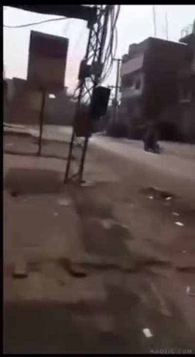 Sokağın ortasında tabelaya 31 çeken lavuk