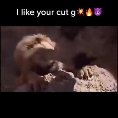 Ripped from Instagram (how the turntables)