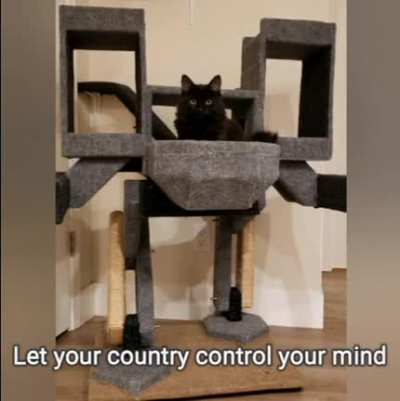 C.A.T.S (Cat Army Tank Squad)