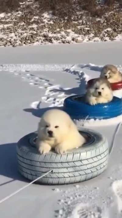 Eyebleach Express