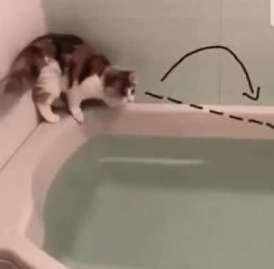 Doing Catculation