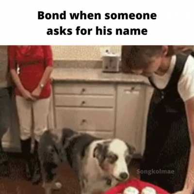 This took a while to make so I hope you enjoy it!