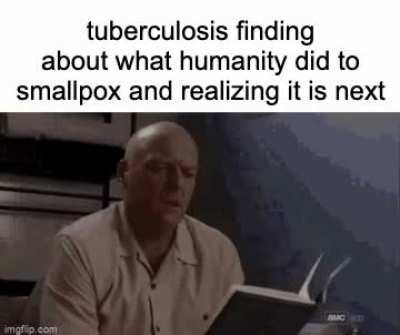 john green will rejoice